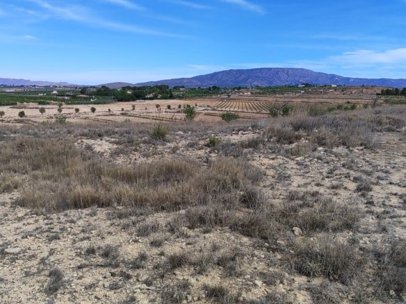 17,300 m² Land in Pinoso - Caza De Casa
