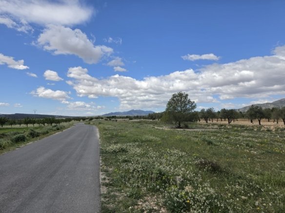 Land in Monóvar/Monóver - Caza De Casa