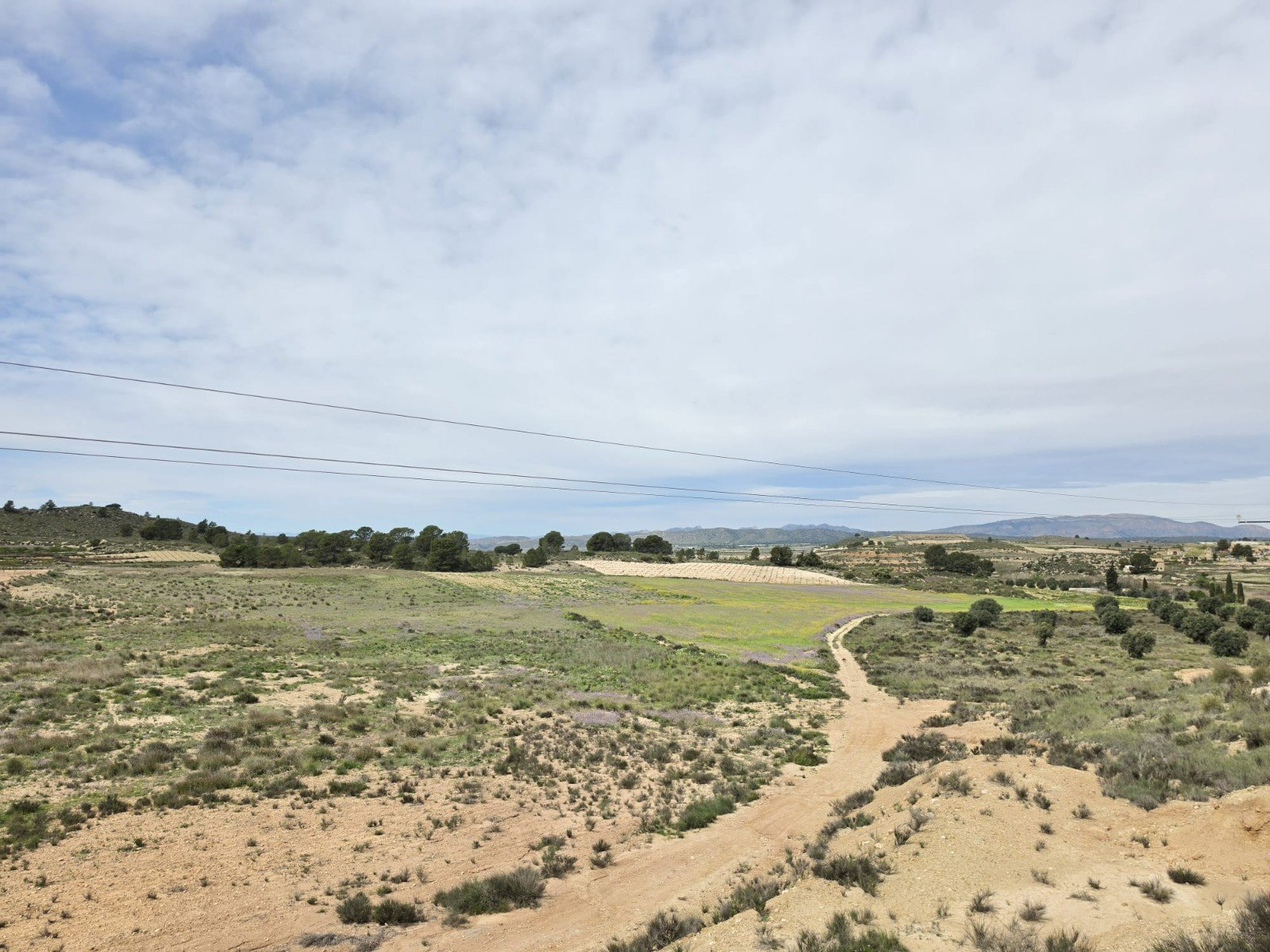 Land in Jumilla - Caza De Casa