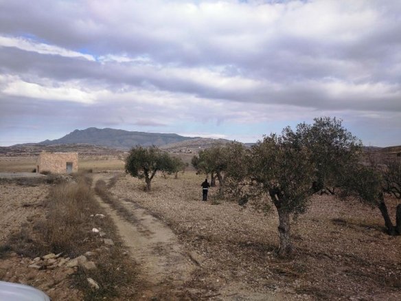 160,000 m² Land in Torre Del Rico - Caza De Casa