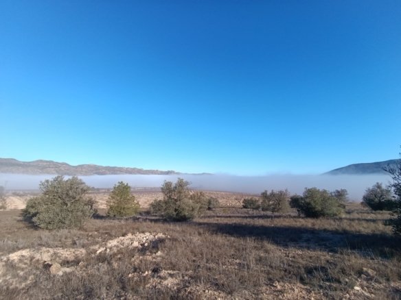 9,197 m² Land in Yecla - Caza De Casa