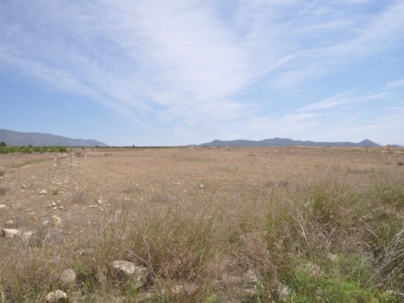 Land in Pinoso - Caza De Casa