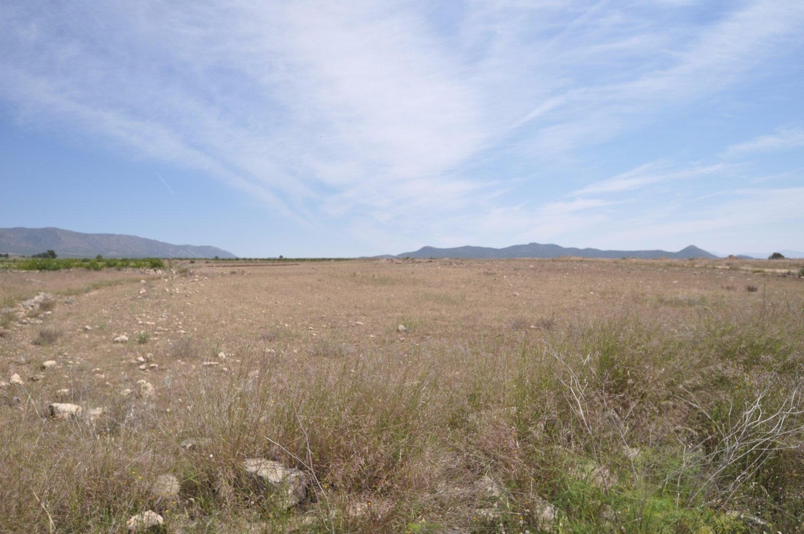 Land in Pinoso - Caza De Casa