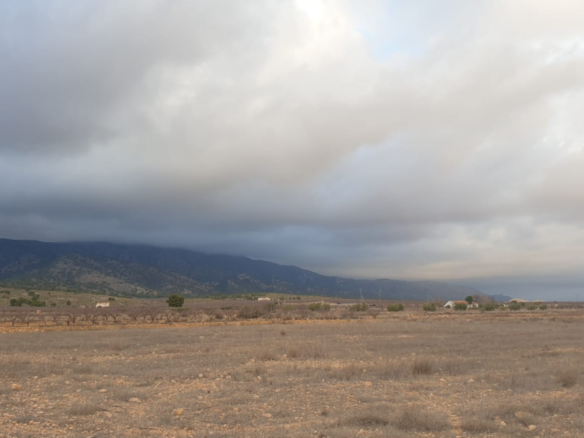Land in Pinoso - Caza De Casa