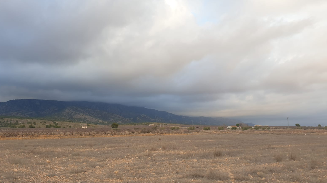 Land in Pinoso - Caza De Casa