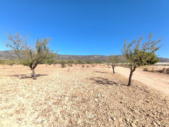 9,044 m² Land in Monóvar/Monóver - Caza De Casa