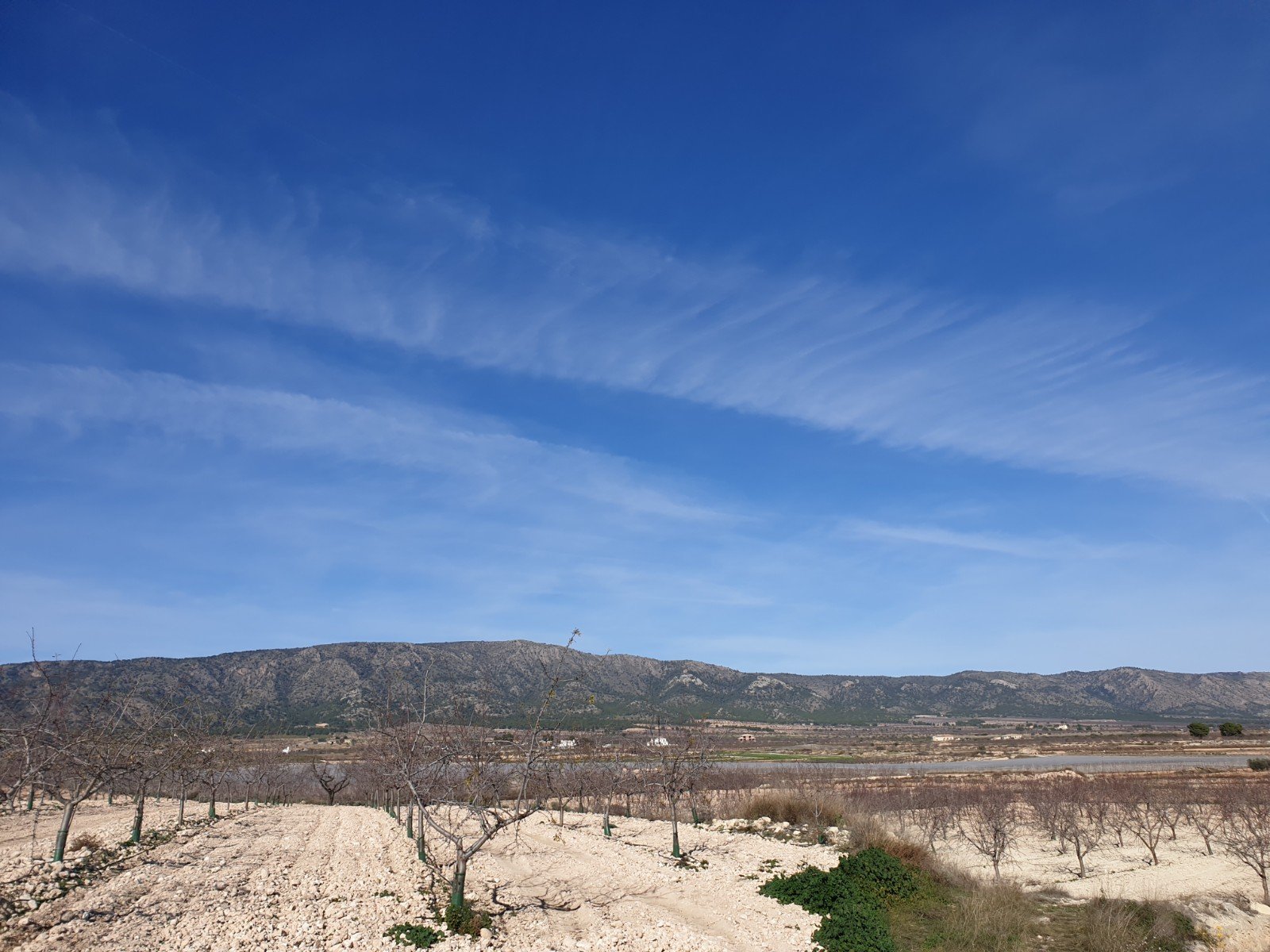 11,244 m² Land in Pinoso - Caza De Casa