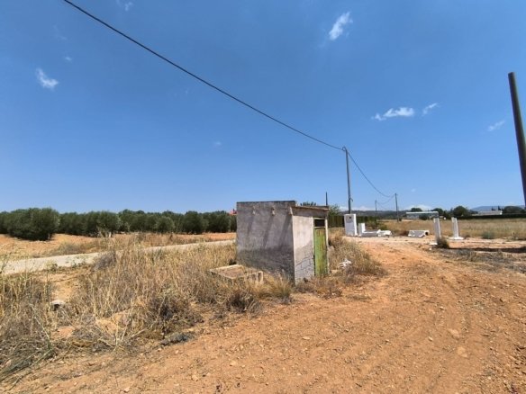 Land in Yecla - Caza De Casa