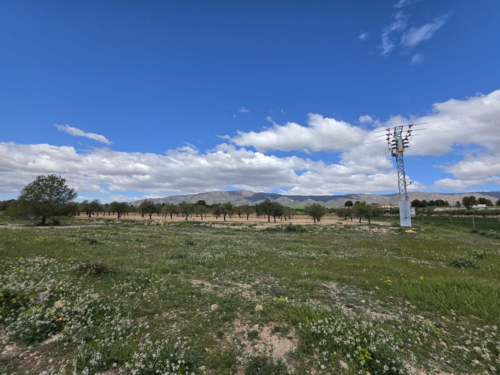 Land in Monóvar/Monóver - Caza De Casa