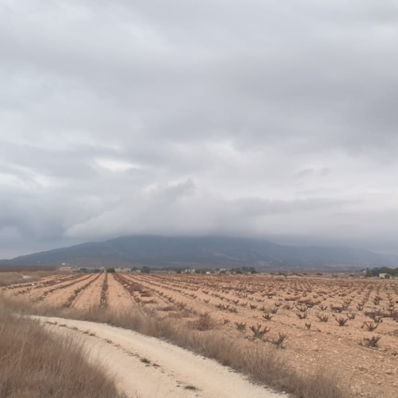Land in Pinoso - Caza De Casa