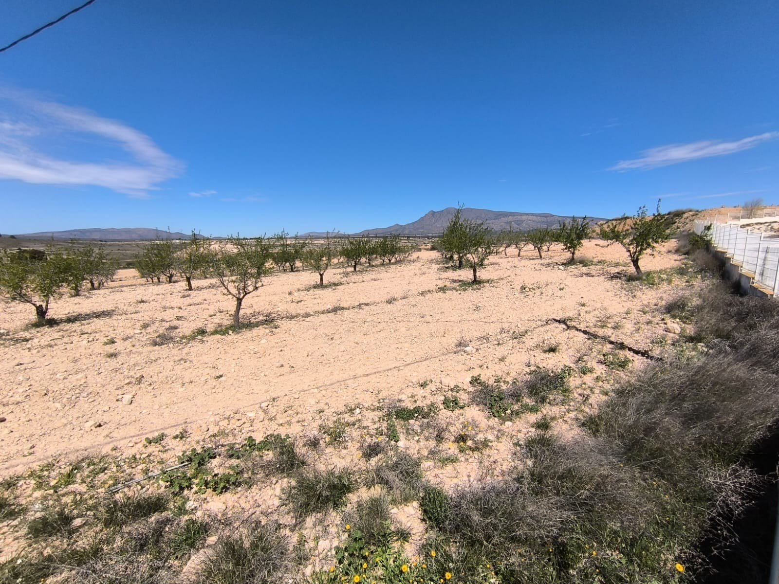 d5b646522ed3c4ea Land in Jumilla - Caza De Casa