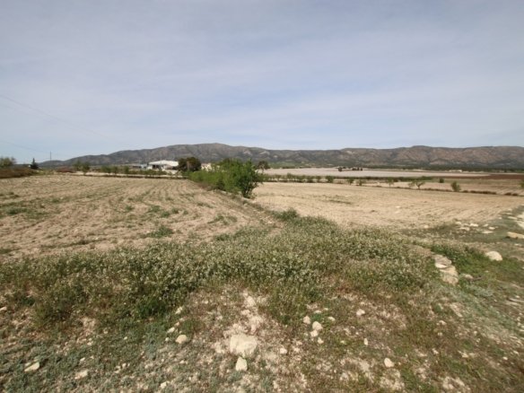 1 Bedroom 1 Bathroom Country House in Monóvar/Monóver - Caza De Casa