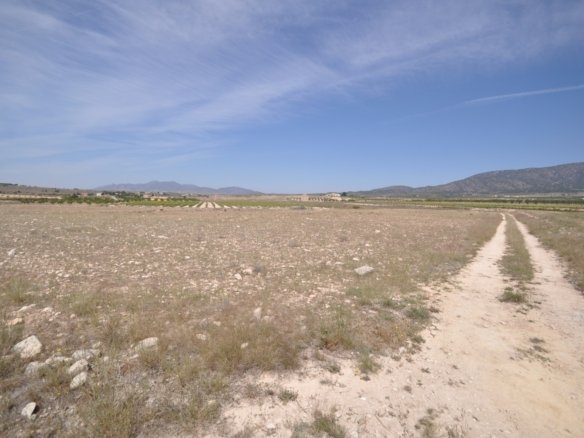 Land in Pinoso - Caza De Casa