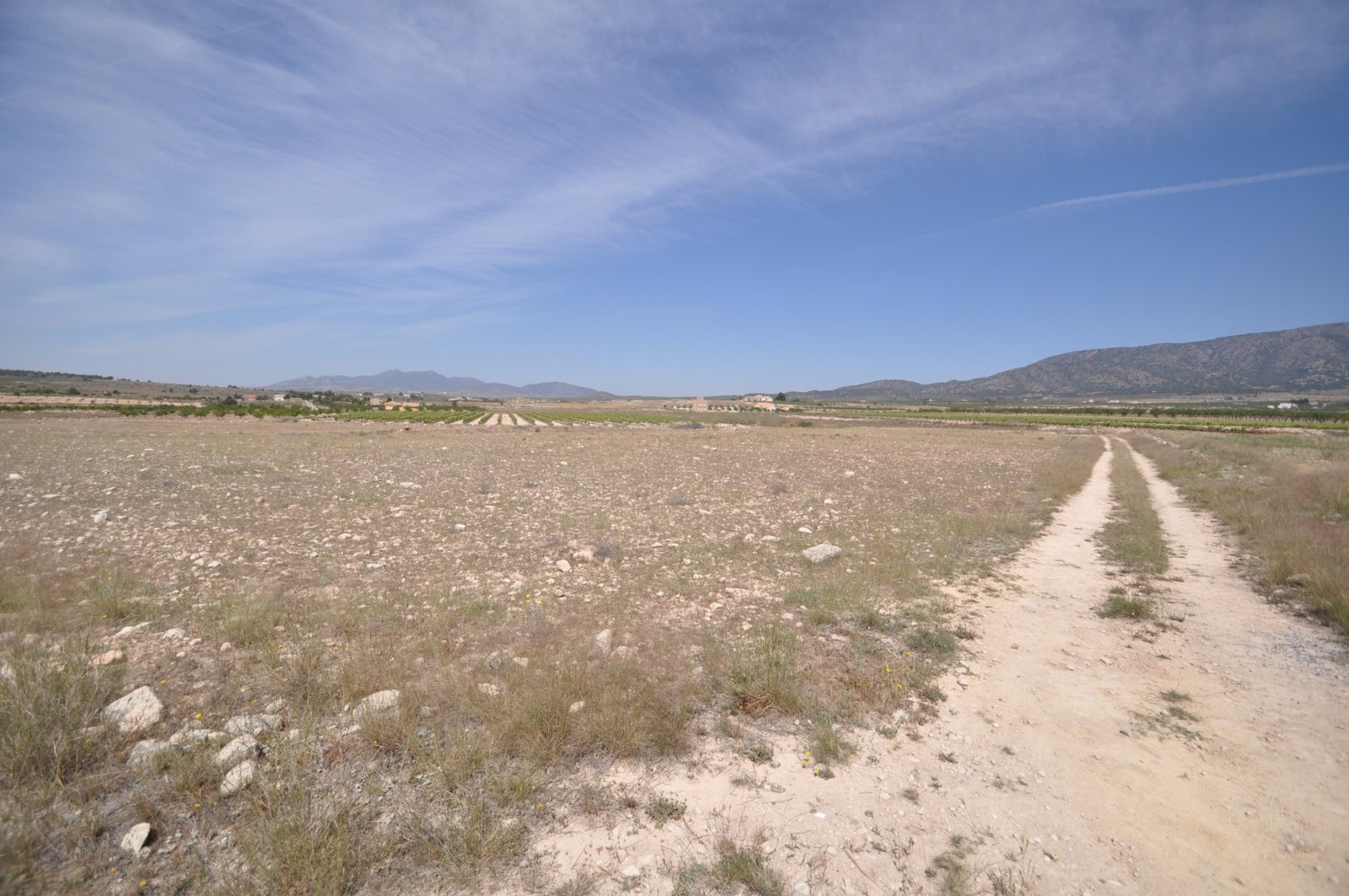 Land in Pinoso - Caza De Casa