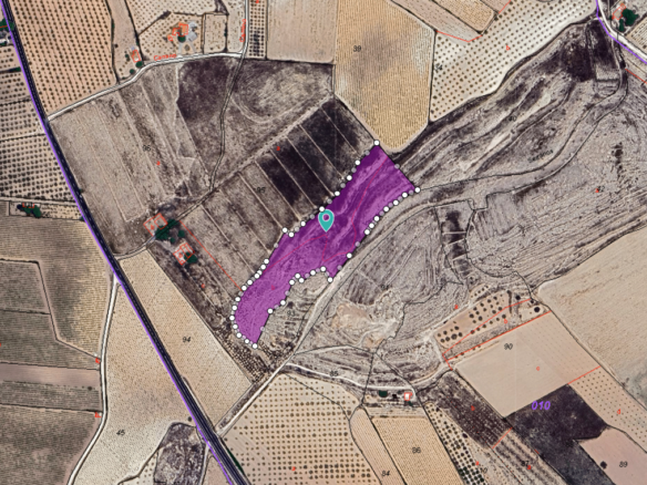 17,300 m² Land in Pinoso - Caza De Casa