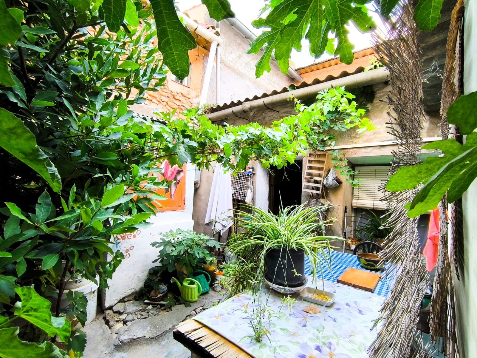 5 Bed 1 Bath Country House in Monóvar/Monóver - Caza De Casa