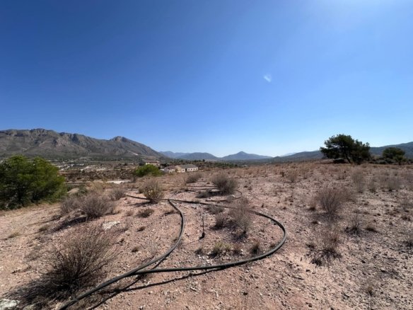 21,500 m² Land in Macisvenda - Caza De Casa