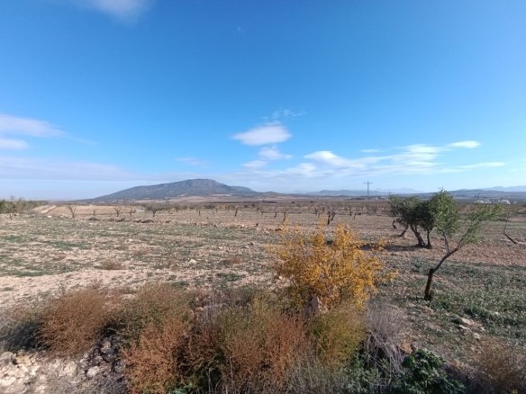 2 Bedroom Other in Yecla - Caza De Casa