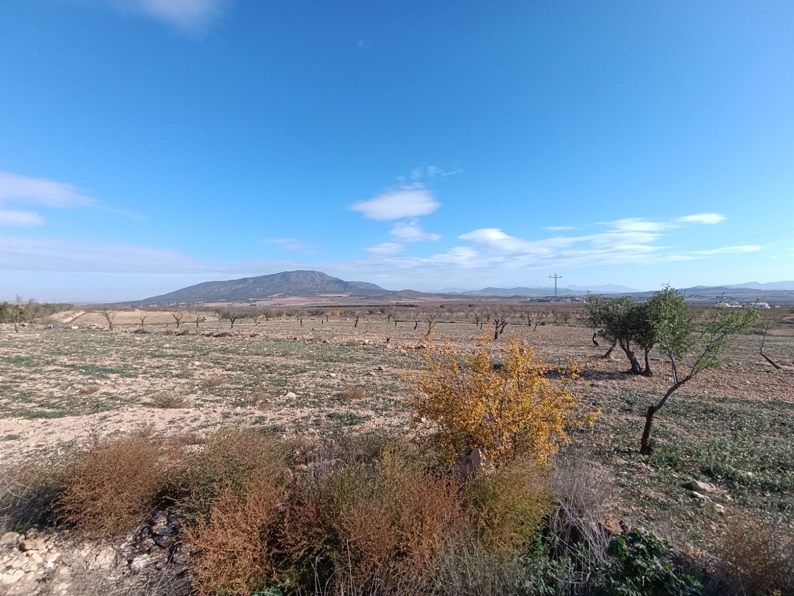 2 Bedroom Other in Yecla - Caza De Casa