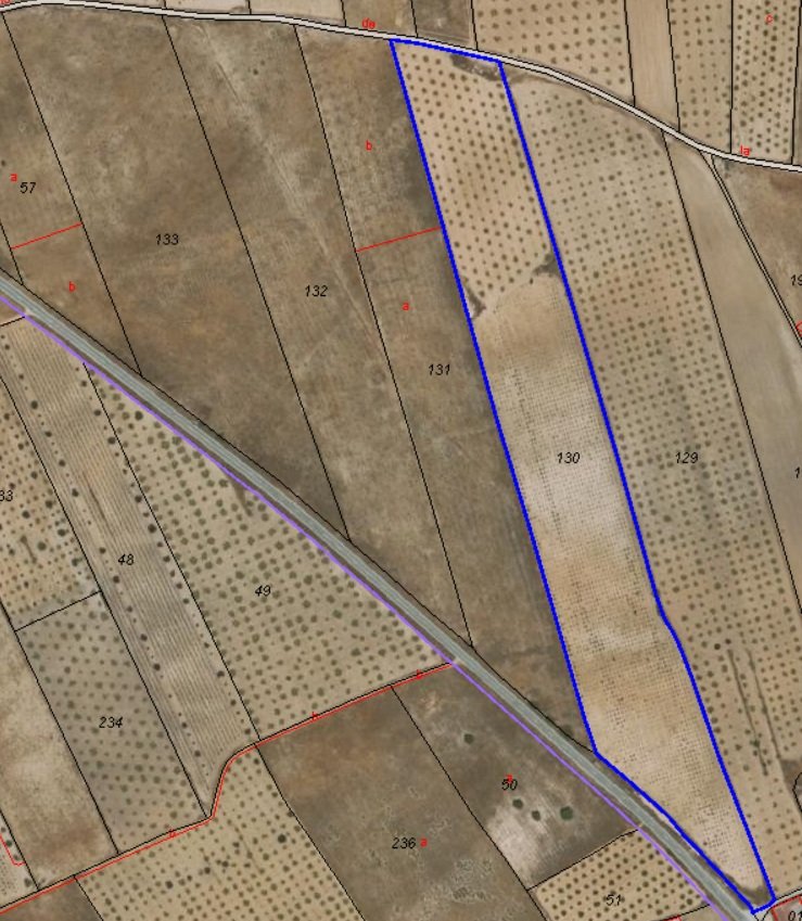 d829fce787cb213b Land in Abanilla - Caza De Casa