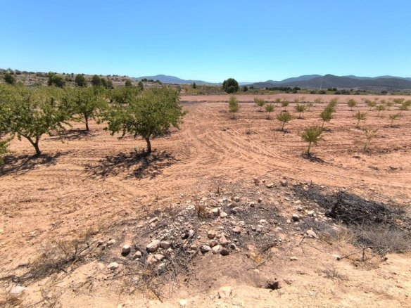 Land in Monóvar/Monóver - Caza De Casa