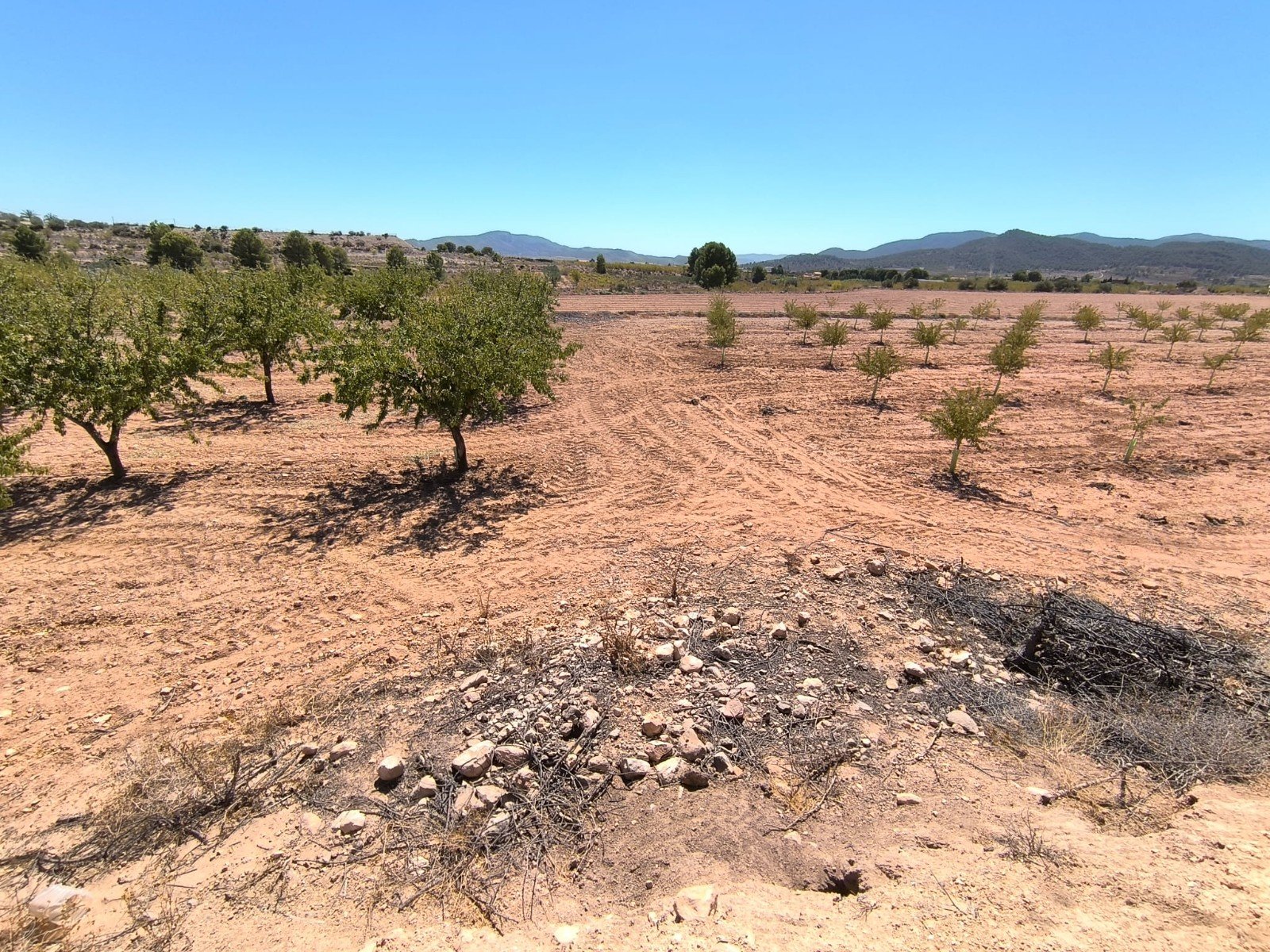 Land in Monóvar/Monóver - Caza De Casa