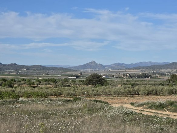 Land in Monóvar/Monóver - Caza De Casa