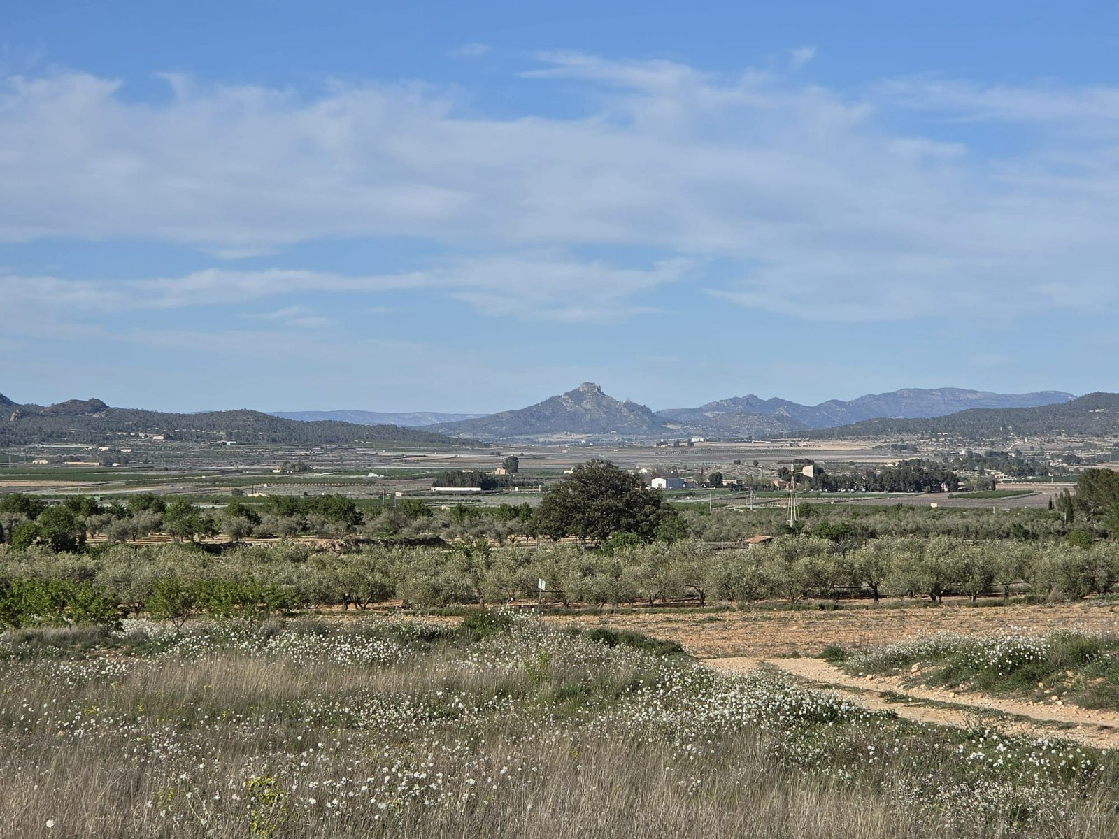 d8d1ab099cb83f4b Land in Monóvar/Monóver - Caza De Casa