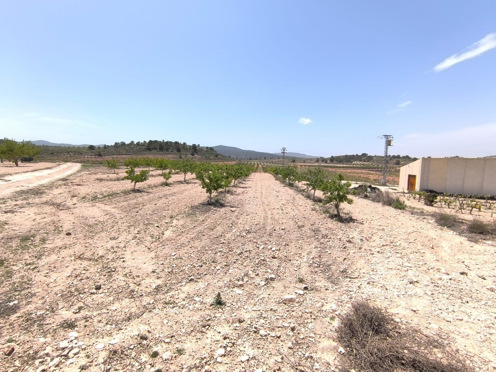 Land in Monóvar/Monóver - Caza De Casa