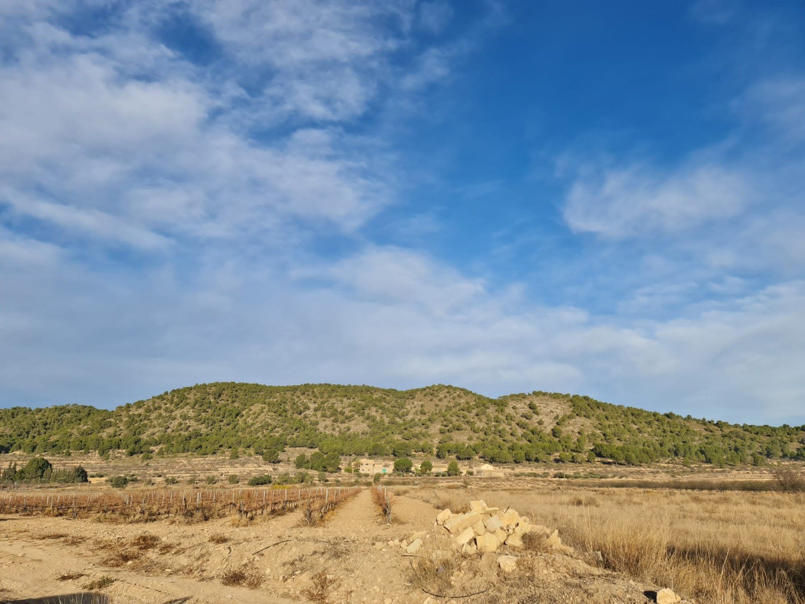 Land in Monóvar/Monóver - Caza De Casa