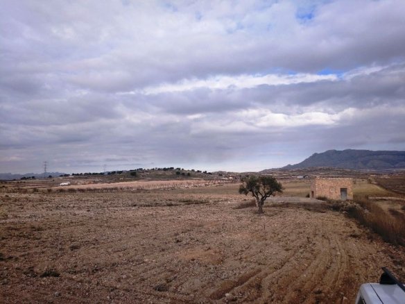 160,000 m² Land in Torre Del Rico - Caza De Casa