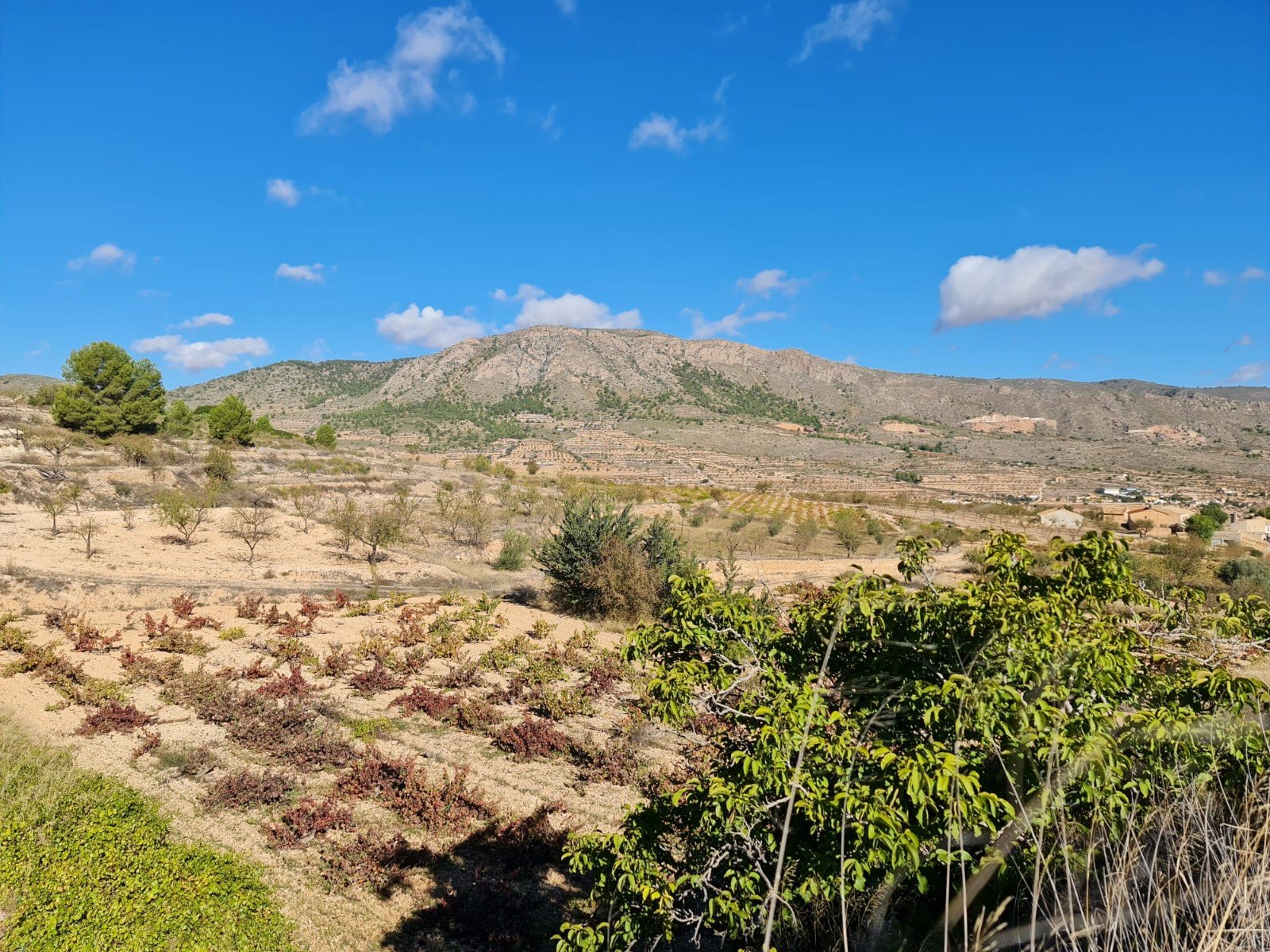 Land in La Romana - Caza De Casa