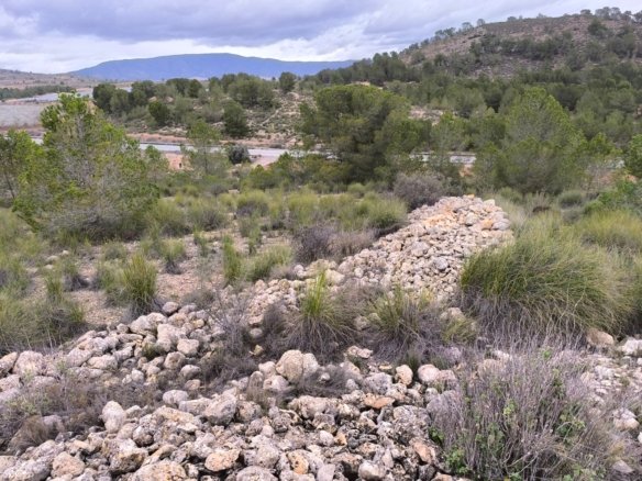 14,595 m² Land in Chinorlet - Caza De Casa