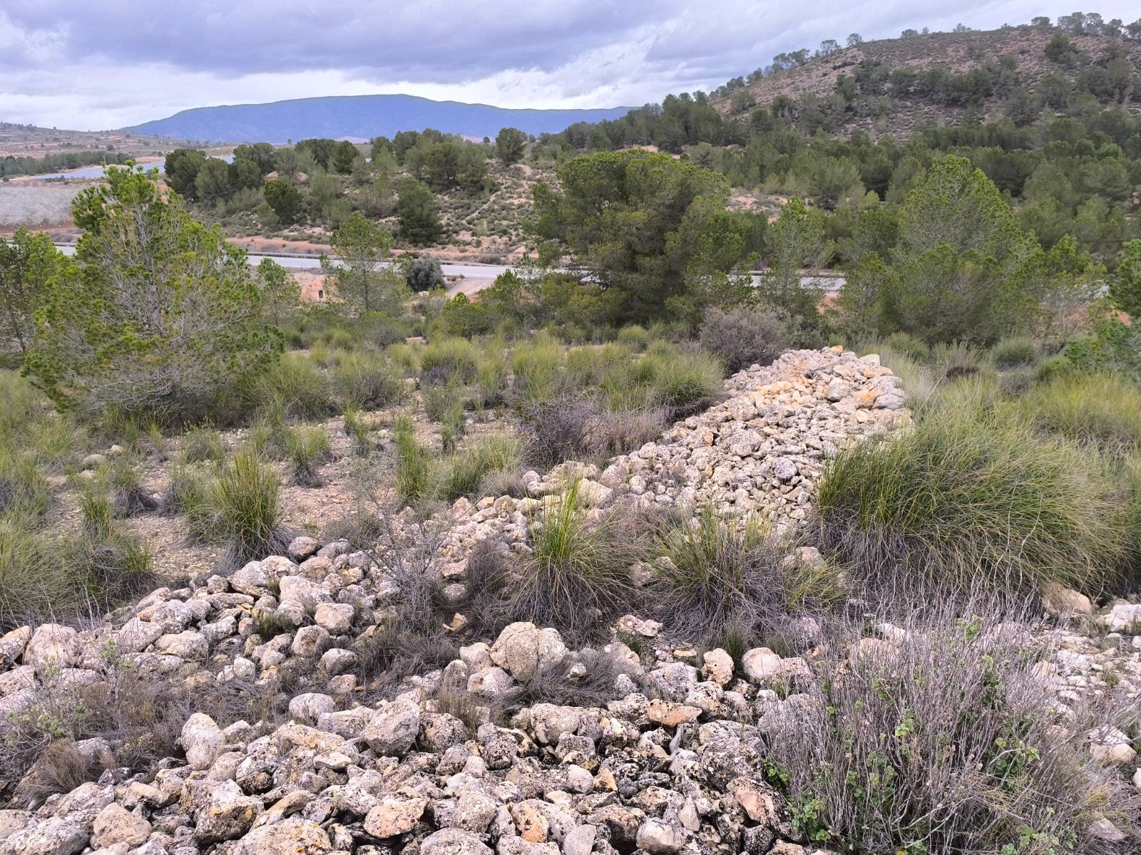 14,595 m² Land in Chinorlet - Caza De Casa