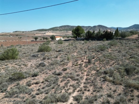 Land in Pinoso - Caza De Casa