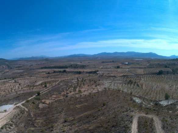 31,486 m² Land in Yecla - Caza De Casa