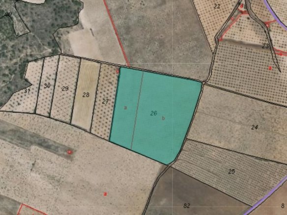 Land in Yecla - Caza De Casa