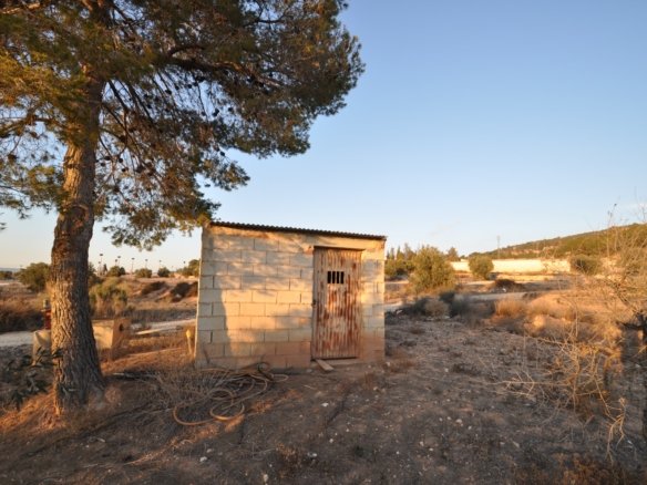 13,020 m² Land in Pinoso - Caza De Casa