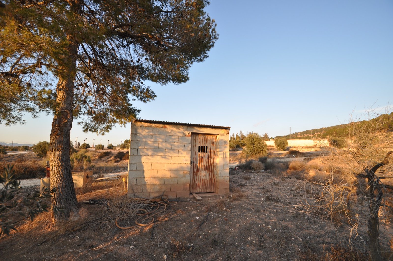 13,020 m² Land in Pinoso - Caza De Casa