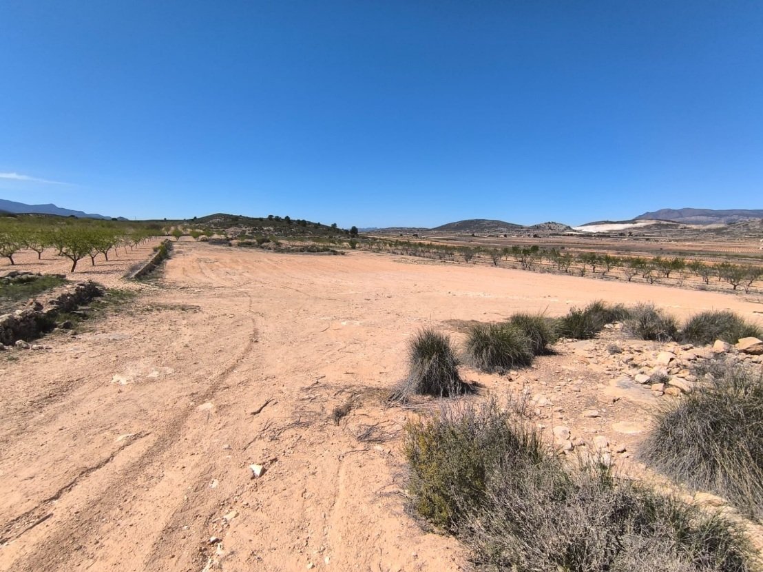 2 Bed 1 Bath Other in Rodriguillo - Caza De Casa