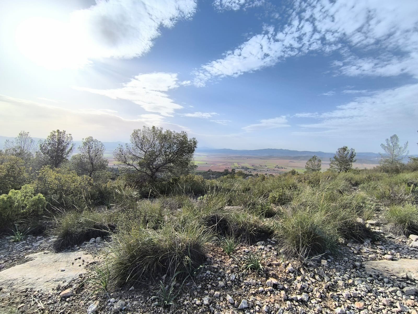 Land in Yecla - Caza De Casa