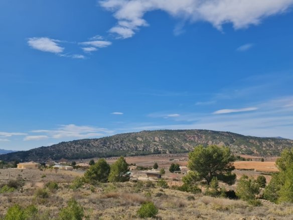Land in Pinoso - Caza De Casa