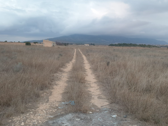25,200 m² Land in Pinoso - Caza De Casa
