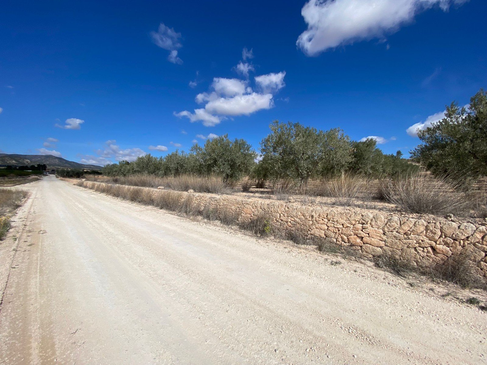 20,357 m² Land in Pinoso - Caza De Casa