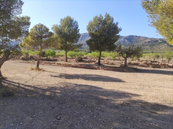 Land in Pinoso - Caza De Casa