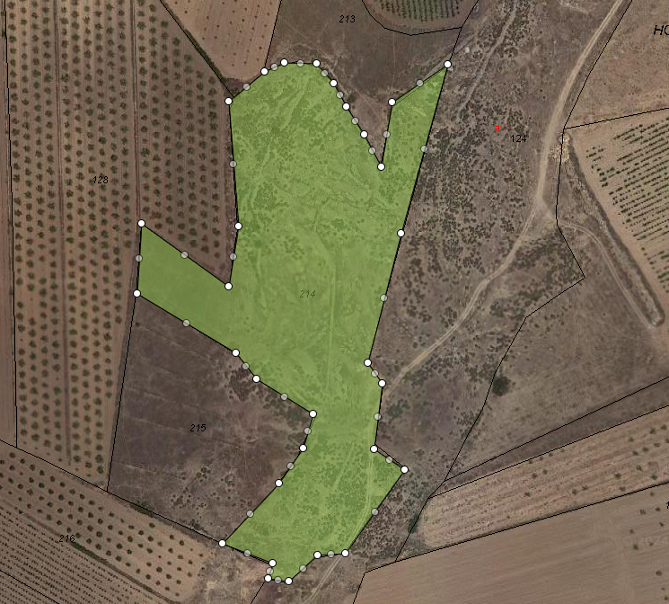 Land in Pinoso - Caza De Casa