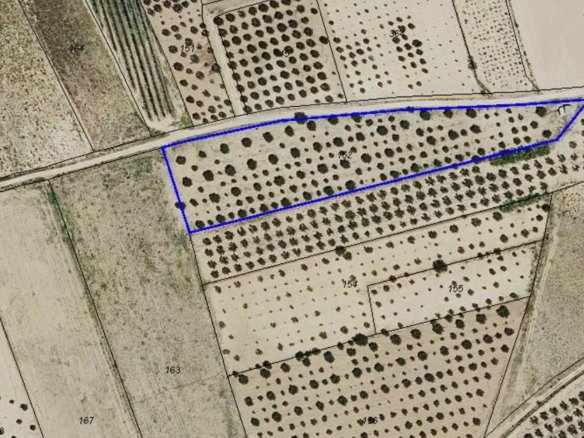 27,000 m² Land in Villena - Caza De Casa