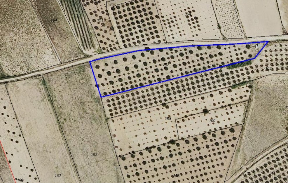27,000 m² Land in Villena - Caza De Casa