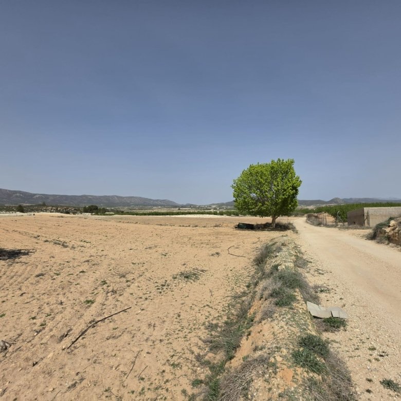 Land in Pinoso - Caza De Casa