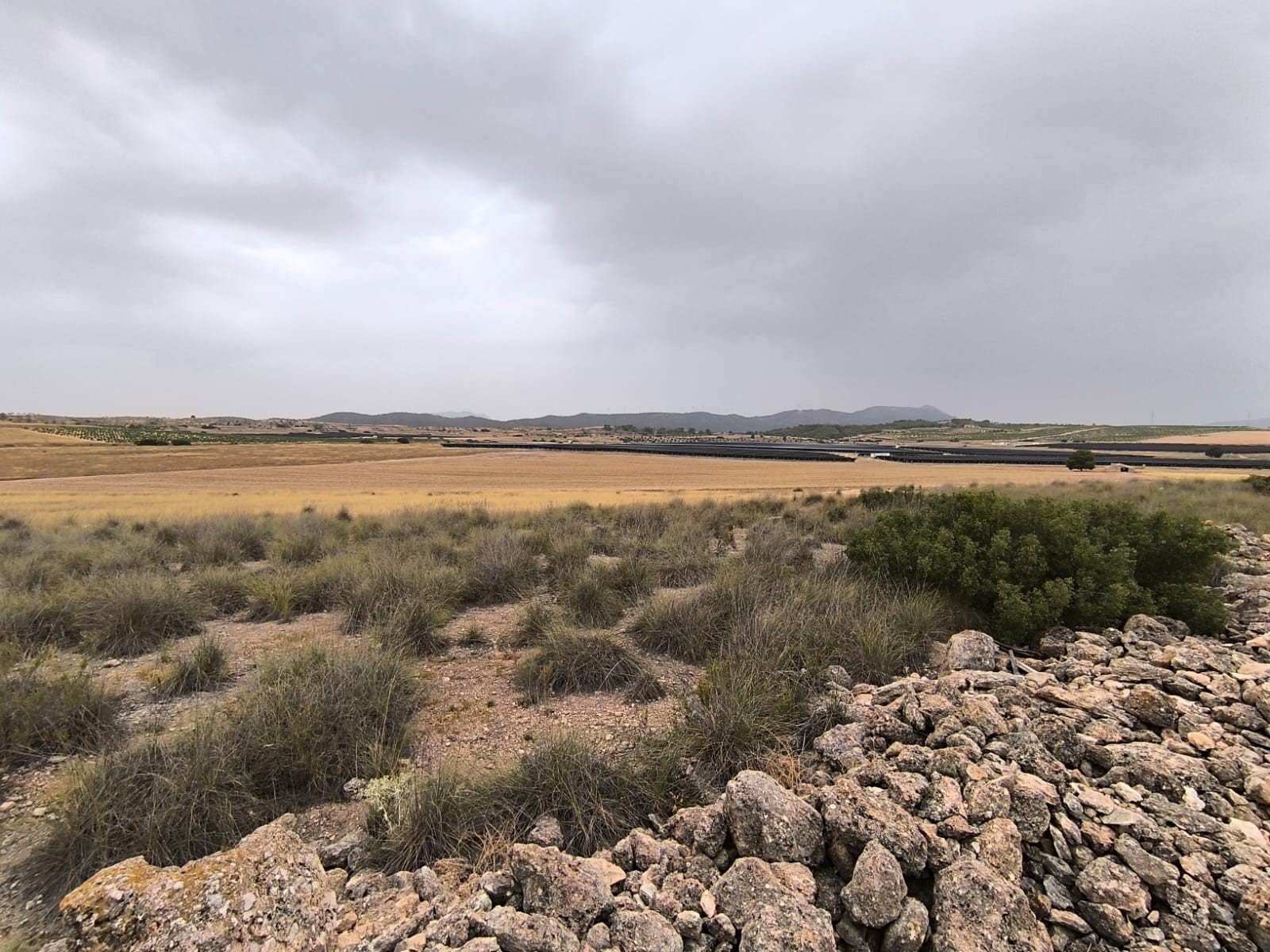 Land in Yecla - Caza De Casa